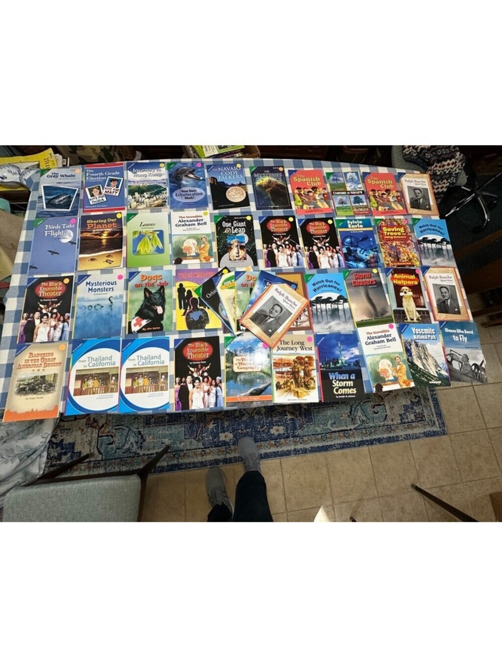 Lot of 45 Scott Foresman Reading Street Leveled Readers (Grade 3–4 / Level 3–4)